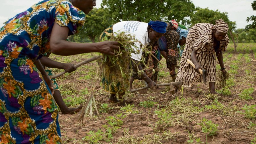 Enquête sur Arise IIP, la firme qui dépouille les paysans africains