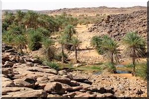 URGENT : Une mystérieuse fièvre tue quatre personnes au Tagant