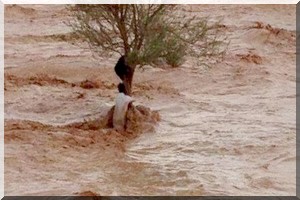 Urgent : 70 maisons effondrées à Sinthiane Diama et 13 autres à Tèkinguel (commune de Darel Barka) après une pluie de 120 mm