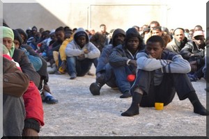 Déclaration des organisations de défense des droits de l’homme sur la situation des ressortissants subsahariens en Algérie   