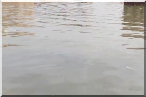 Les eaux de pluie coupent la route Atar-Chinguetti et Ouadane