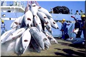 Atelier sue la pêche : Former en soutenir la pêche artisanale