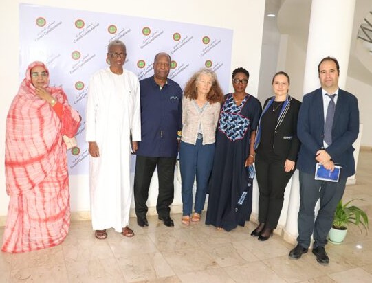 Le Président du Conseil constitutionnel reçoit le représentant spécial du SG des NU pour le Sahel