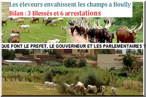 Alerte à Boully : La gestion chaotique  du Préfet du département crée une tension guerrière entre les éleveurs et les agriculteurs de la Commune.