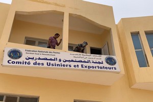 Les exportateurs de Nouakchott démentent des allégations relatives à l’affrètement d’un bateau de pêche