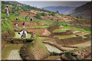 Mauritanie : 120 millions d’ouguiyas pour l’amélioration de la gouvernance foncière
