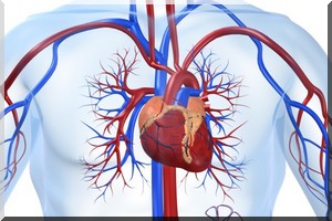  Santé : la prise du petit déjeuner traditionnel pourrait limiter les risques de maladies cardiaques