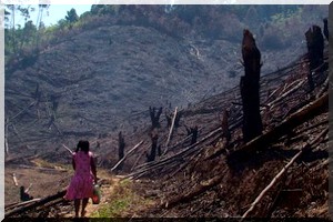  COP21 : la Tunisie et 6 autres nouveaux pays africains présentent leurs engagements pour le climat 