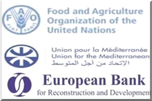 Avis aux médias : Forum sur la contribution du secteur privé à la sécurité alimentaire dans la partie méridionale et orientale du Bassin méditerranéen (région SEMED) 5-6 mai, Barcelone (Espagne)