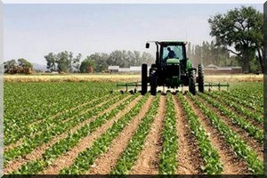 Le FIDA octroie un don de 21 millions $ à la Mauritanie 