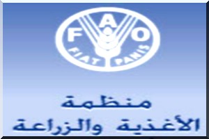 La FAO prime la Mauritanie pour la réussite de sa politique de lutte contre la pauvreté et la faim
