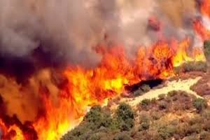 La Mauritanie va réaliser 600 nouveaux km de pare-feux 