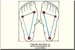 Hygiène/santé : Faire la sentinelle fatigue plus que se promener.