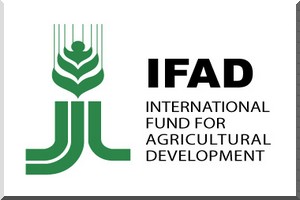 Un responsable du FIDA loue l'expérience mauritanienne dans le domaine de la lutte contre la pauvreté 