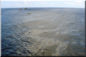 Marée noire : Le Banc d’Arguin serait-il menacé ?