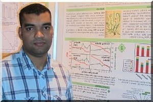 Les bœufs du Québec mangeront mieux