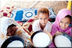 Production de lait :  Nema traîne les pieds