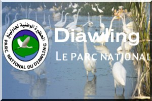 Lettre d'information du Parc National du Diawling