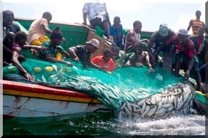 4 300 pirogues sénégalaises immatriculées aux noms de privés mauritaniens (ministre)