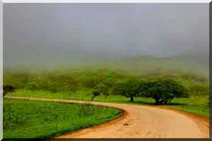 Hivernage 2015 : Des précipitations de plus de 100 mm dans certaines localités