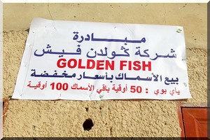 Golden Fish : poisson moins cher dans la périphérie de Nouakchott