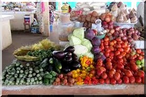 Lancement d'une campagne de commercialisation de légumes pour la saison 2015 - 2016