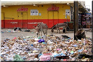 Kaédi : La traque des vendeurs des sachets plastiques!