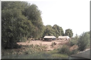 Semaine Nationale de l'arbre : Message du Ministère de l’Environnement et du Développement Durable