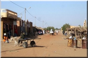 Mauritanie: une fièvre hémorragique fait un décès à Aleg
