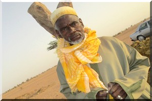  Destruction d’un puits pastoral fraîchement réhabilité à Wouro Demba Coumba/Barkèdji par des individus inconnus [PhotoReportage]