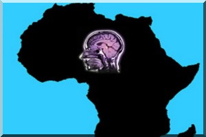 Le Maghreb face à la fuite de ses cerveaux