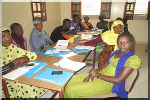Boghé : Formation d’Agents Polyvalents d’Elevage au profit de 15 jeunes par le BEFCA en partenariat avec le GNAP [PhotoReportage]
