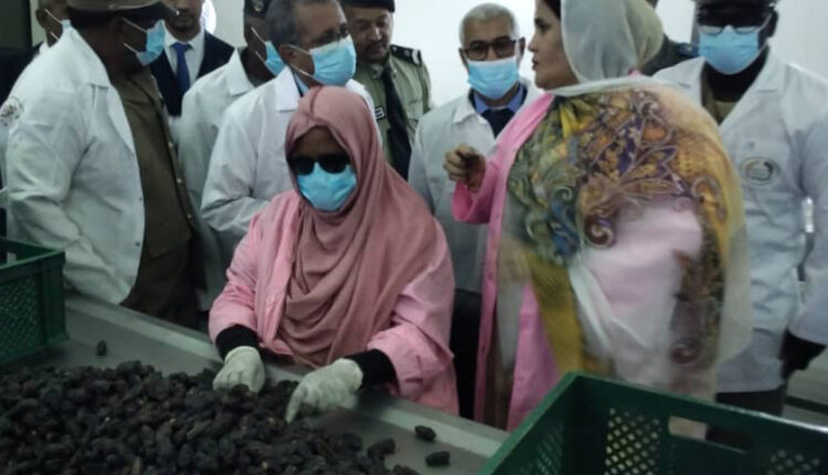 A Atar, le ministre de l’Agriculture se réunit avec les agriculteurs