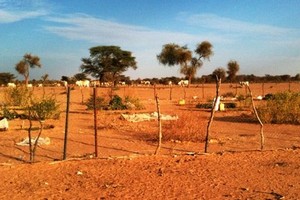 Mauritanie  : un nouvel ouvrage pour l'irrigation de grands périmètres agricoles à Trarza