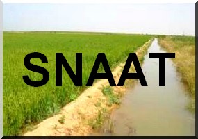 Rosso: SNAAT, une société aux méthodes peu orthodoxes. 