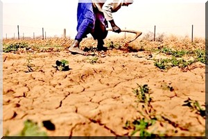 La Mauritanie souhaite s’inspirer du Maroc pour l’assurance agricole
