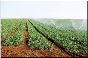 Mauritanie Bulletin des Prix Mai 2014