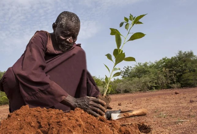 L’insécurité alimentaire en Afrique de l’Ouest nécessite une réponse adaptée au climat dans un contexte de crises 