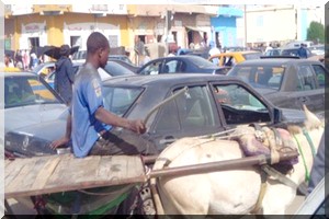 Transport : Transport urbain à Nouakchott ou l’absence de conséquences