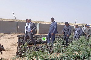 Le ministre de l'environnement visite deux pépinières au PK 17 et à Tensoueilem
