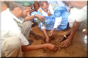 Semaine nationale de l’arbre en Adrar : Des centaines de plants pour verdir les espaces publics