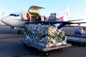 À la veille du mois de ramadan, l’Algérie exporte des tonnes de dattes vers la Mauritanie