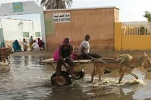 Quand l’âne trébuche…