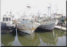 Fin de l'arrêt biologique au niveau de la pêche artisanale  