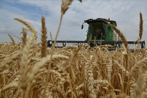 La Russie suspend des exportations de céréales, des craintes au niveau international