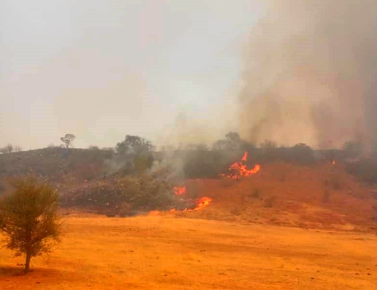 Un feu de brousse ravage de vastes zones pastorales au Guidimakha … Vidéo