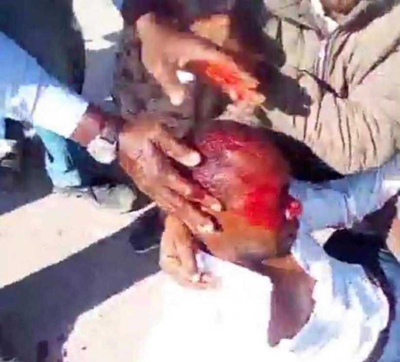 Affrontements à Zaatar : trois blessés admis à l’hôpital Cheikh Zayed