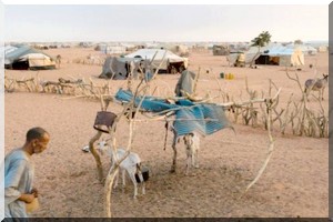  Les réfugiés maliens de Mberra (Mauritanie), indécis sur le retour 