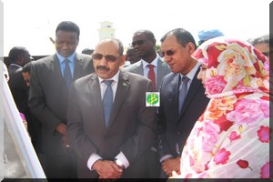 Nouakchott: Démarrage une campagne de lutte contre les moustiques [PhotoReportage]