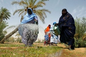 Mauritanie : prise en charge par l’état des intrants agricoles pour assurer la réussite de la campagne